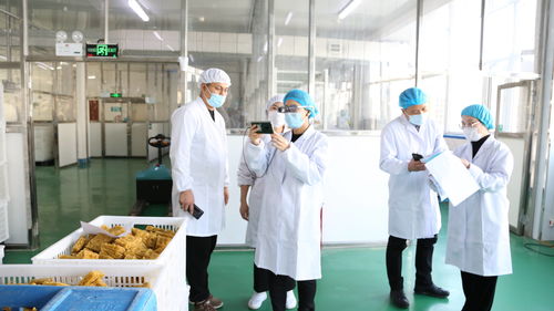 大連自貿片區推出食品生產加工“5G+AR”智慧監管新模式，賦能健康管理與咨詢